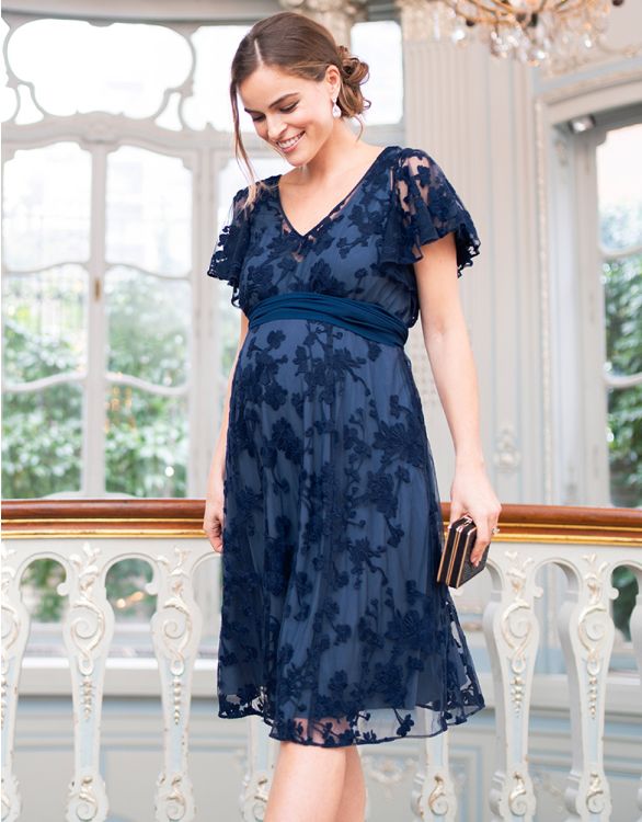 Seraphine Maternity And Nursing Dresses in Blue